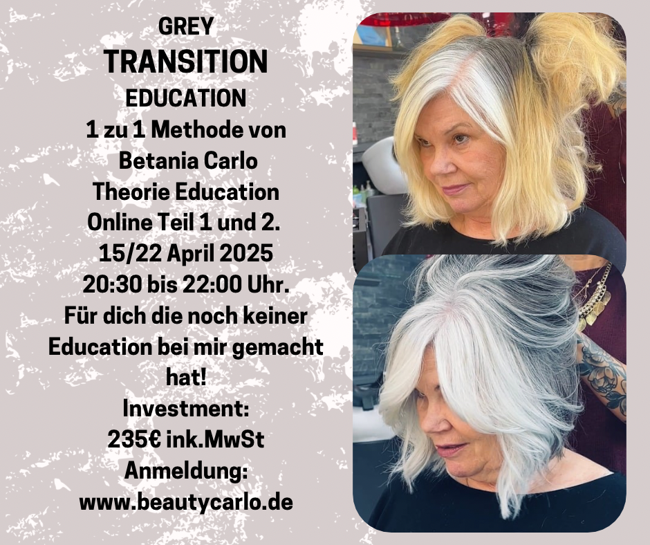 Grey Transition 1 zu 1 Methode Online Education Teil 1 und 2 15 und 22 april 2025